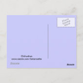 Chihuahua Postcard Postkarte (Rückseite)