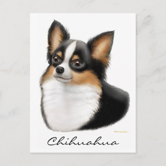 Chihuahua Postcard Postkarte (Vorderseite)