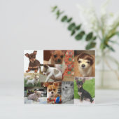 Chihuahua Postcard Postkarte (Stehend Vorderseite)