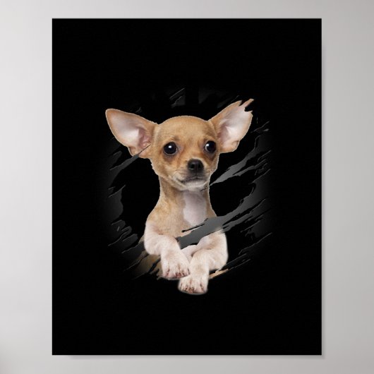 Chihuahua Poster (Vorne)