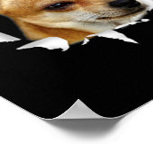 Chihuahua Poster (Ecke)