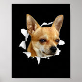 Chihuahua Poster (Vorne)