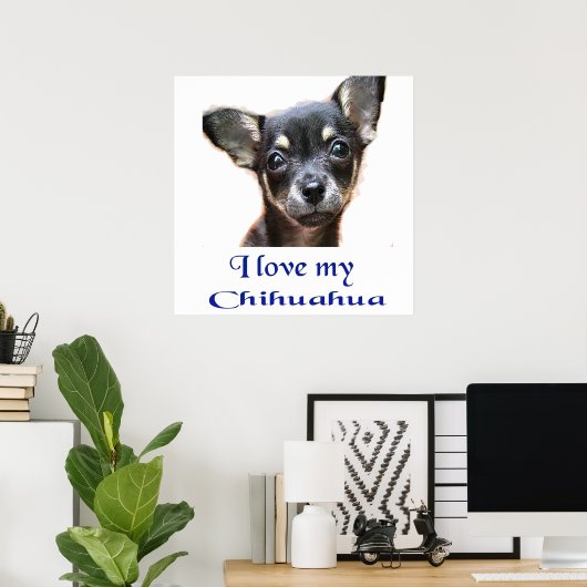 Chihuahua Poster (Heimbüro)