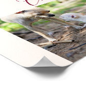 Chihuahua Poster Fügen Sie Ihre eigenen Chihuahuua (Ecke)