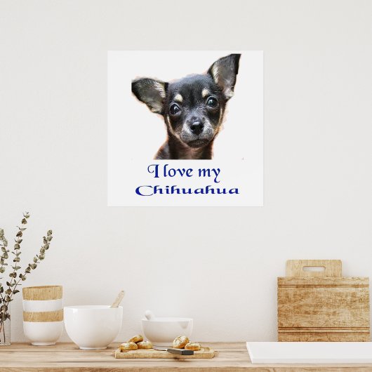 Chihuahua-Poster Poster (Küche)