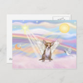 Chihuahua Postkarte (Vorne/Hinten)