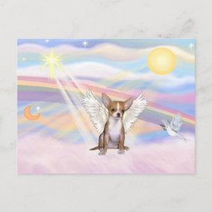 Chihuahua Postkarte