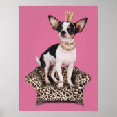 Chihuahua Princess Poster (Vorne)