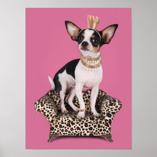 Chihuahua Princess Poster (Vorne)