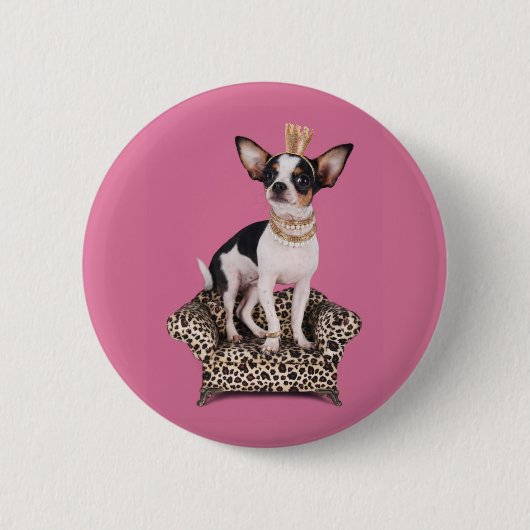 Chihuahua-Prinzessin Button (Vorderseite)