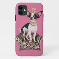 Chihuahua-Prinzessin