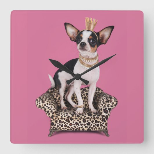 Chihuahua-Prinzessin Quadratische Wanduhr (Vorderseite)