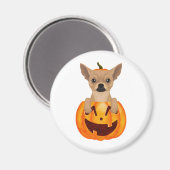 Chihuahua Pumpkin Classic Round Sticker Magnet (Vorderseite/Rückseite)