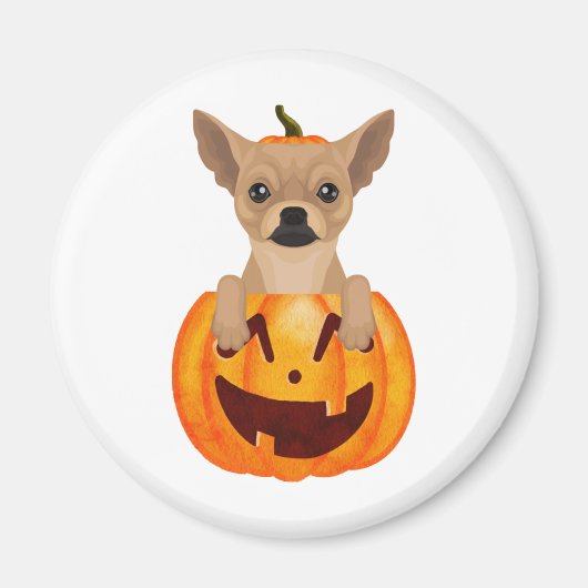 Chihuahua Pumpkin Classic Round Sticker Magnet (Vorne)