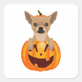 Chihuahua Pumpkin Quadratischer Aufkleber (Vorderseite)