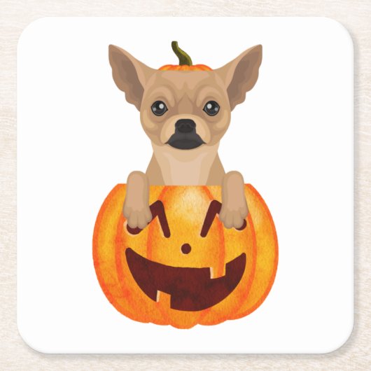 Chihuahua Pumpkin Rechteckiger Pappuntersetzer (Vorderseite)