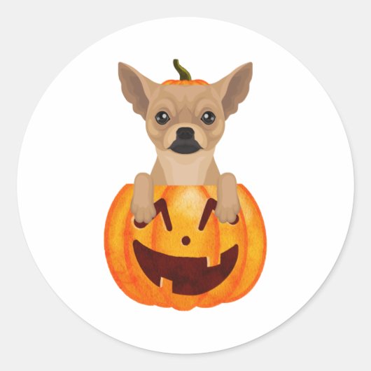 Chihuahua Pumpkin Runder Aufkleber (Vorderseite)