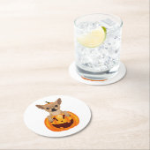 Chihuahua Pumpkin Runder Pappuntersetzer (Vor Ort)