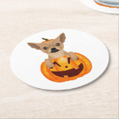 Chihuahua Pumpkin Runder Pappuntersetzer (Angewinkelt)