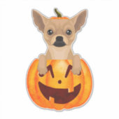 Chihuahua Pumpkin Sticker (Vorderseite)
