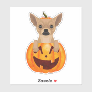 Chihuahua Pumpkin Sticker