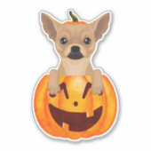 Chihuahua Pumpkin Sticker (Vorderseite)