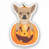 Chihuahua Pumpkin Sticker (Vorderseite)