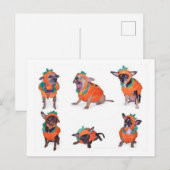 Chihuahua Pumpkins Postkarte (Vorne/Hinten)