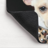 Chihuahua-Punk mousepad (Ecke)
