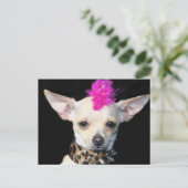 Chihuahua Punk Postcard Postkarte (Stehend Vorderseite)