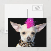 Chihuahua Punk Postcard Postkarte (Vorne/Hinten)