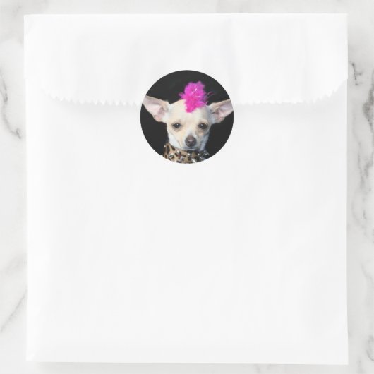 Chihuahua Punk Runder Aufkleber (Tasche)