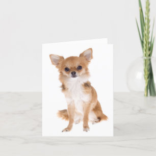 Chihuahua Puppy Dog Blank Notecard Karte