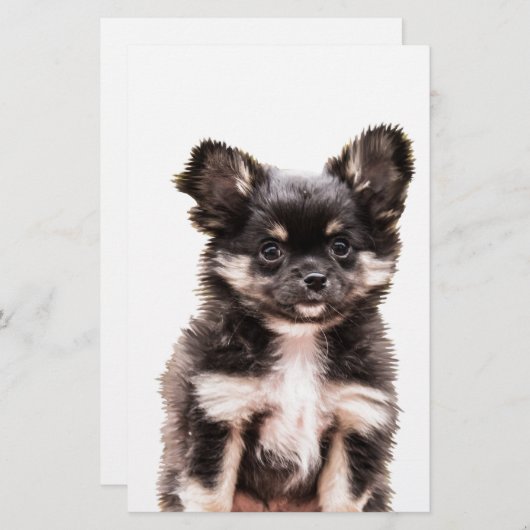Chihuahua Puppy Dog Briefpapier (Vorne/Hinten)
