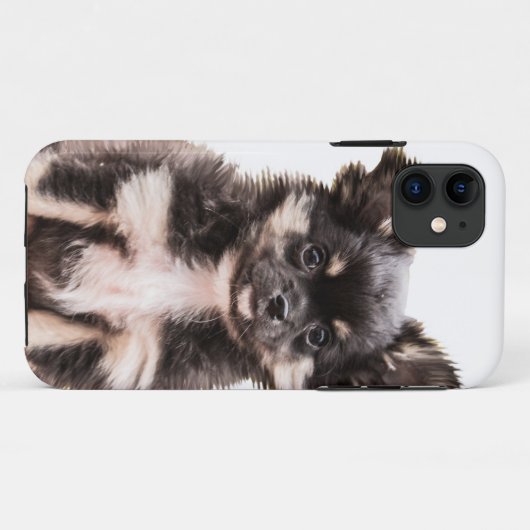 Chihuahua Puppy Dog Case-Mate iPhone Hülle (Rückseite (Horizontal))