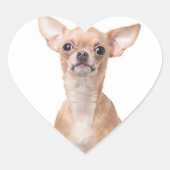 Chihuahua Puppy Dog Heart Herz-Aufkleber (Vorderseite)