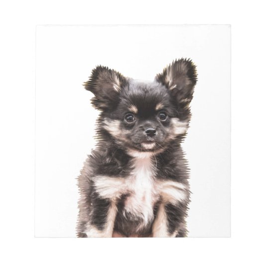 Chihuahua Puppy Dog Notizblock (Vorderseite)