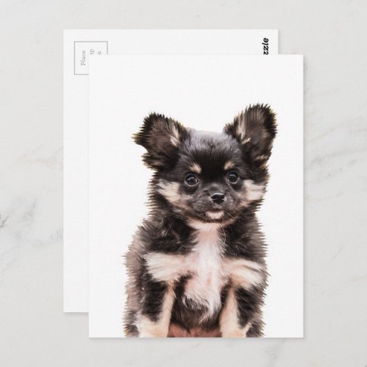 Chihuahua Puppy Dog Postkarte (Vorne/Hinten)