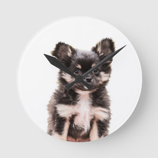 Chihuahua Puppy Dog Runde Wanduhr (Vorderseite)
