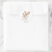Chihuahua Puppy Dog Stickers / Siegel (Tasche)