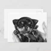 Chihuahua Puppy Handgemälde Postkarte (Vorne/Hinten)