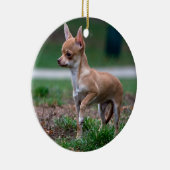 Chihuahua Puppy Keramik Ornament (Rechts)