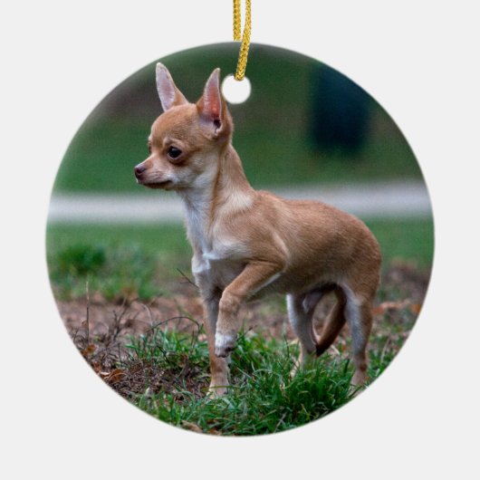 Chihuahua Puppy Keramik Ornament (Vorne)