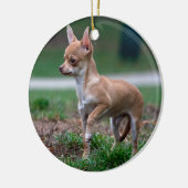 Chihuahua Puppy Keramik Ornament (Links)