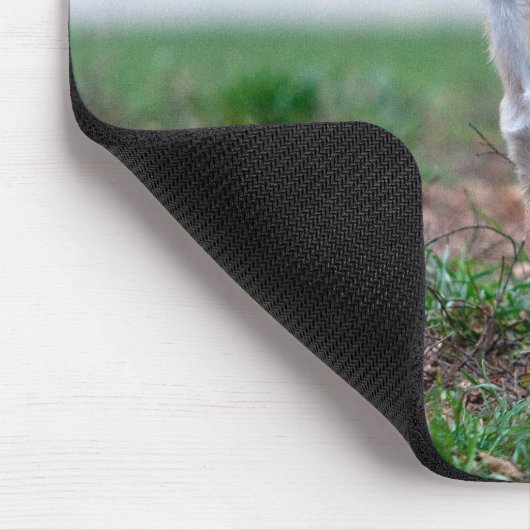 Chihuahua Puppy Mousepad (Ecke)