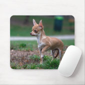 Chihuahua Puppy Mousepad (Mit Mouse)