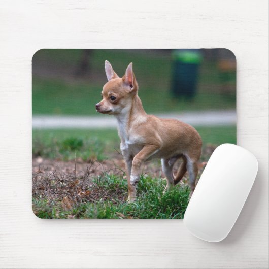 Chihuahua Puppy Mousepad (Mit Mouse)