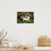 Chihuahua Puppy Playing Poster (Küche)