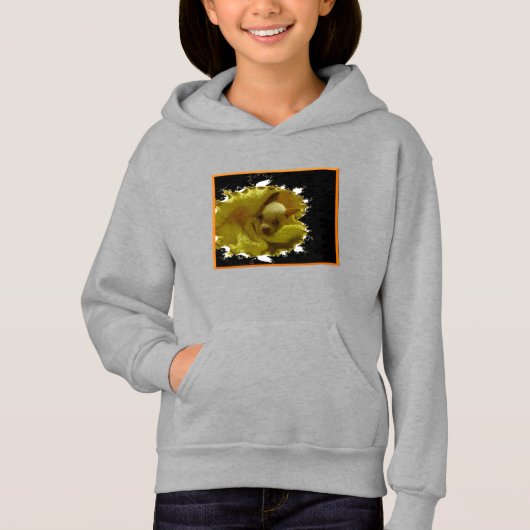 Chihuahua Puppy Pullover Hoodie (Vorderseite)