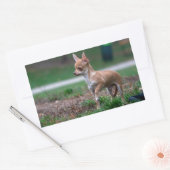 Chihuahua Puppy Rechteckiger Aufkleber (Umschlag)